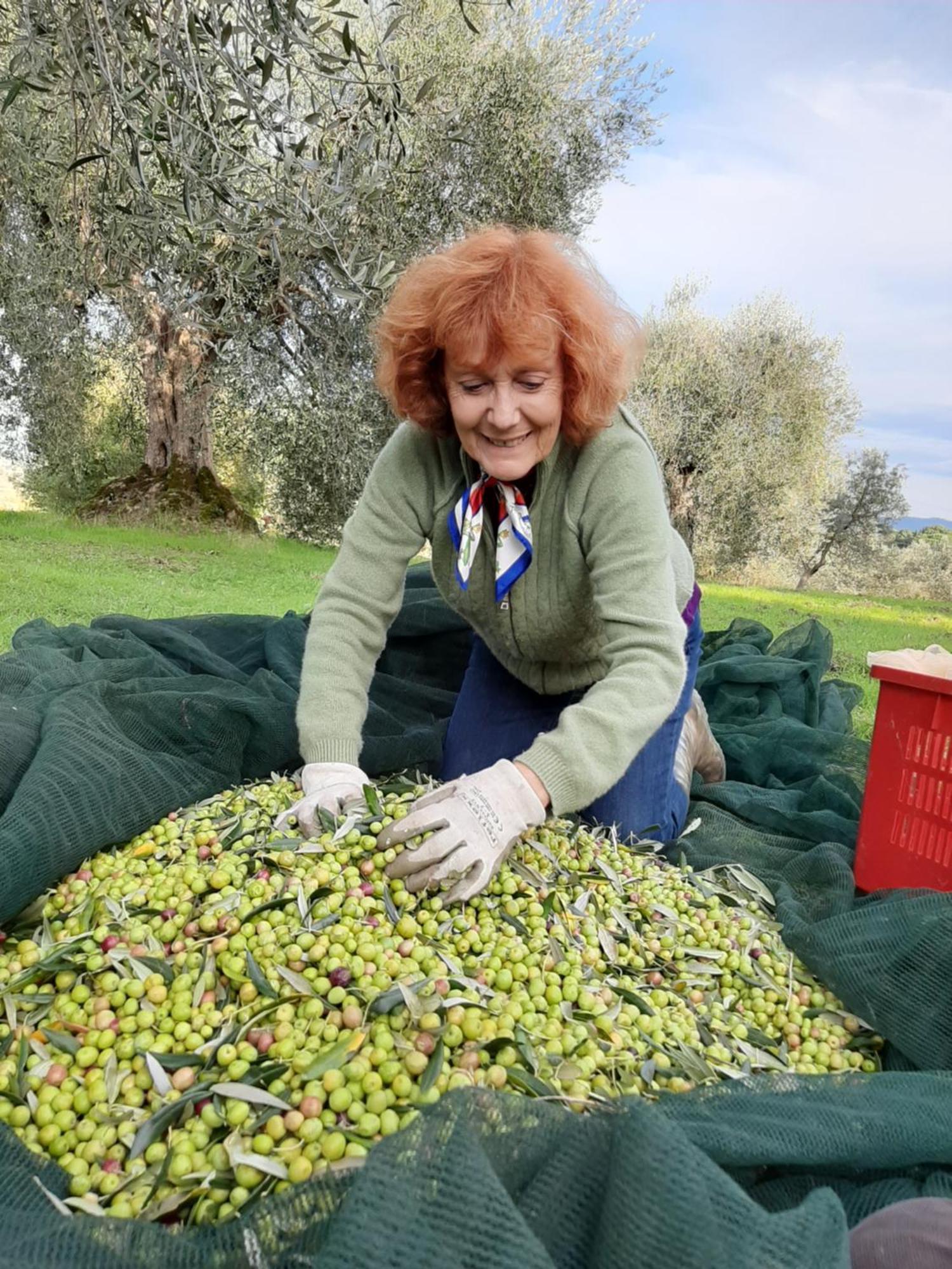 Montebello Degli Olivi Chiusi Eksteriør bilde
