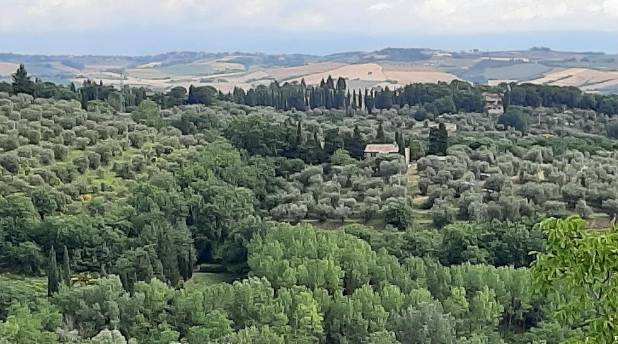 Montebello Degli Olivi Chiusi Eksteriør bilde